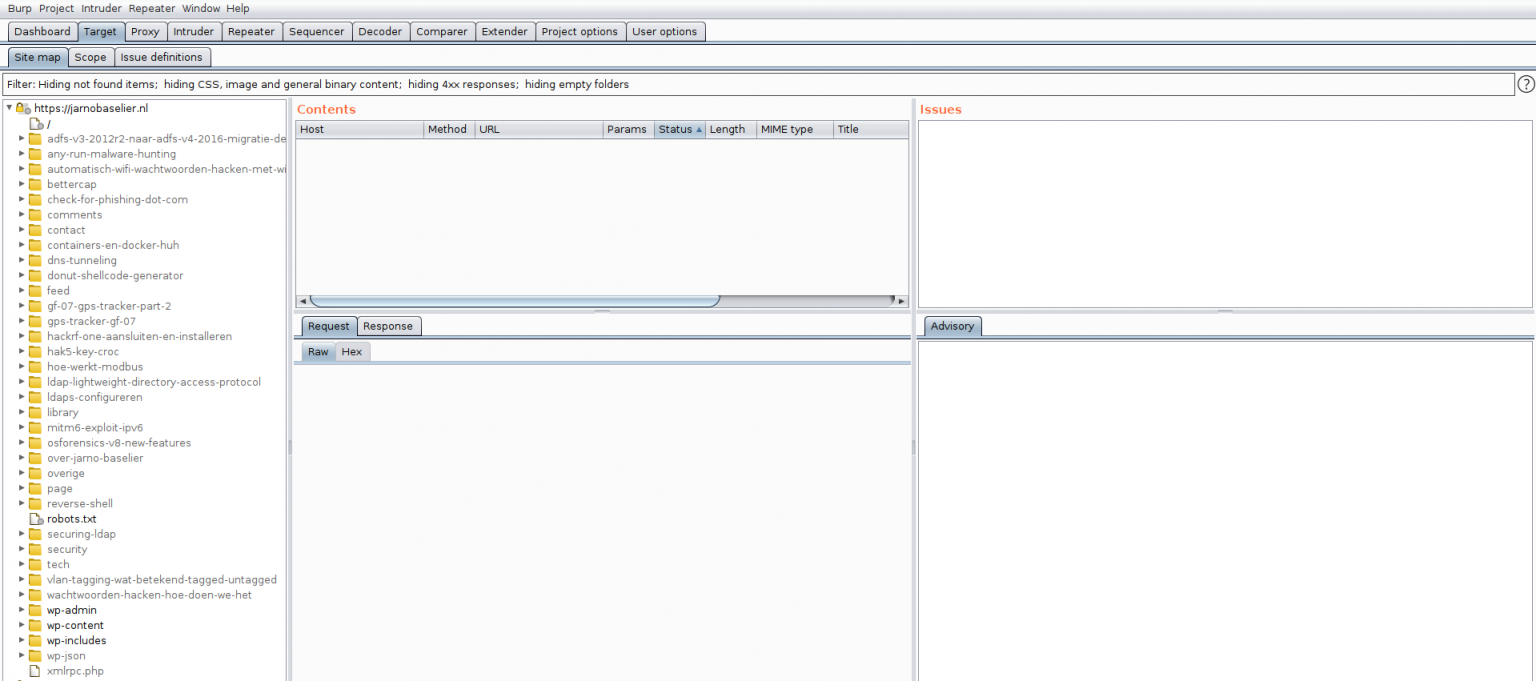 burp suite vulnerability scanner