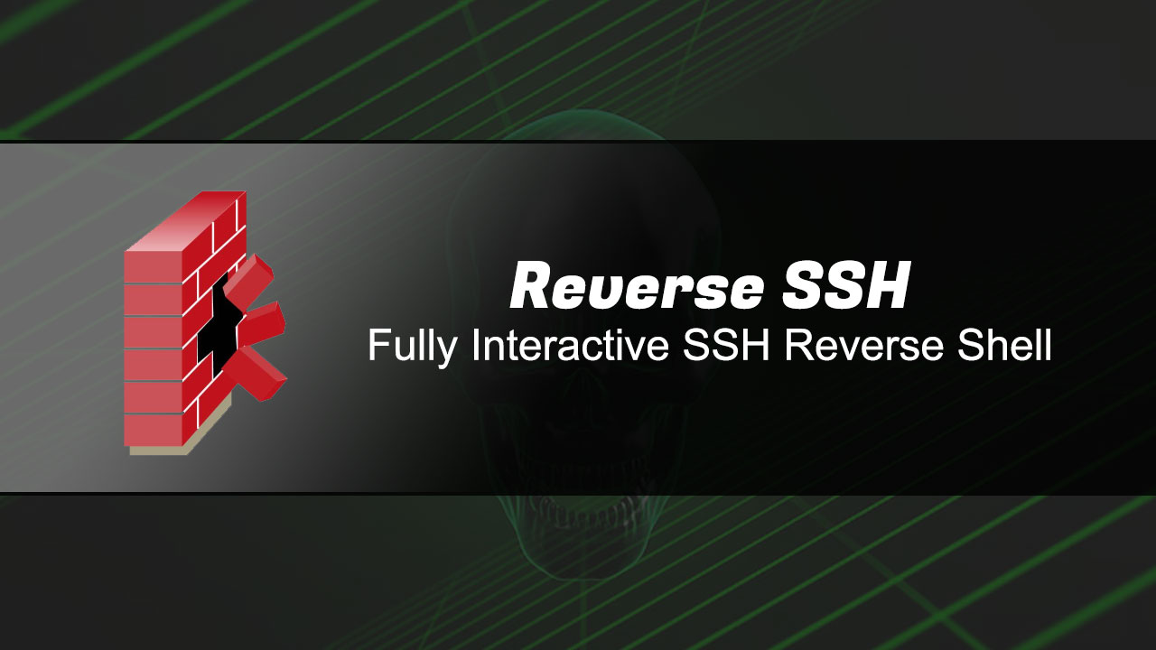 Reverse SSH: Fully Interactive SSH Reverse Shell